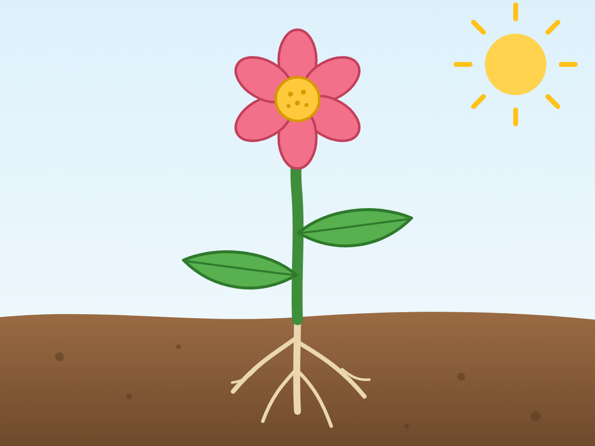 Ilustración de una planta al aire libre, en un día soleado.